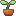 bud